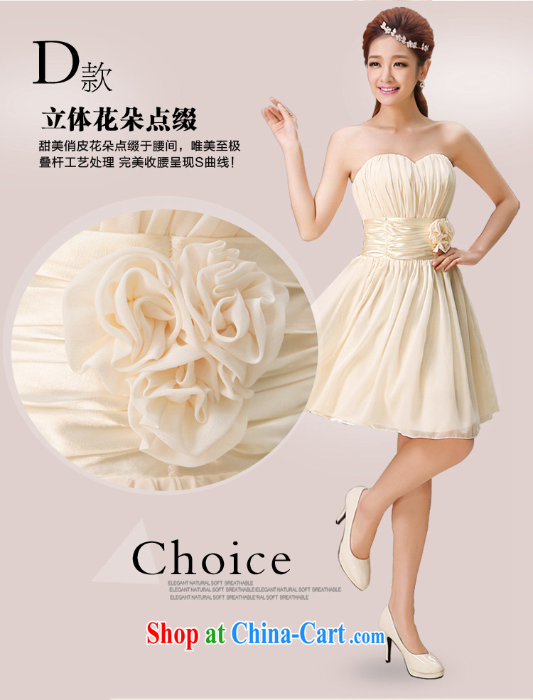 Tslyzm 2015 new bridesmaid dress skirt short spring bridesmaid sisters served as small dress bridesmaid's bare color champagne color Dinner Evening dress A L pictures, price, brand platters! Elections are good character, the national distribution, so why buy now enjoy more preferential! Health