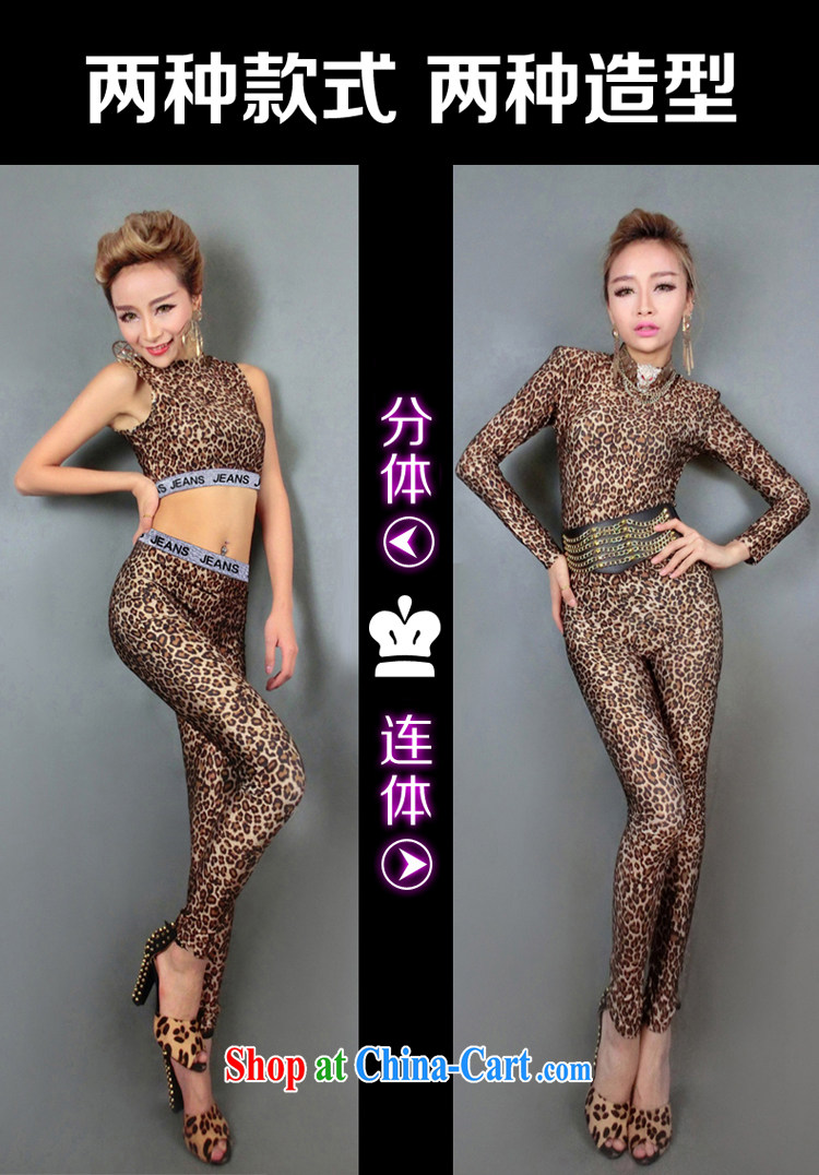 Dance to hip hop new Europe 酒吧女 DS show clothing for dance clothing female singer atmospheric stage Leopard-yi #8280 Leopard split are code pictures, price, brand platters! Elections are good character, the national distribution, so why buy now enjoy more preferential! Health
