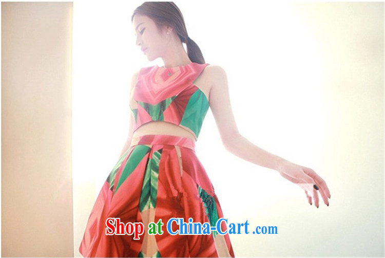 Abundant Ming European site big vest dress girl stamp high waist skirt body Kit 2015 summer New Picture Color M pictures, price, brand platters! Elections are good character, the national distribution, so why buy now enjoy more preferential! Health