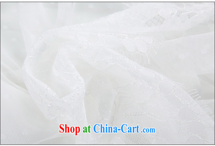 Elizabeth had mentioned, 2015 summer new elegance dress long skirt and collar embroidery lace stitching Web yarn beauty dresses support payments white XL pictures, price, brand platters! Elections are good character, the national distribution, so why buy now enjoy more preferential! Health