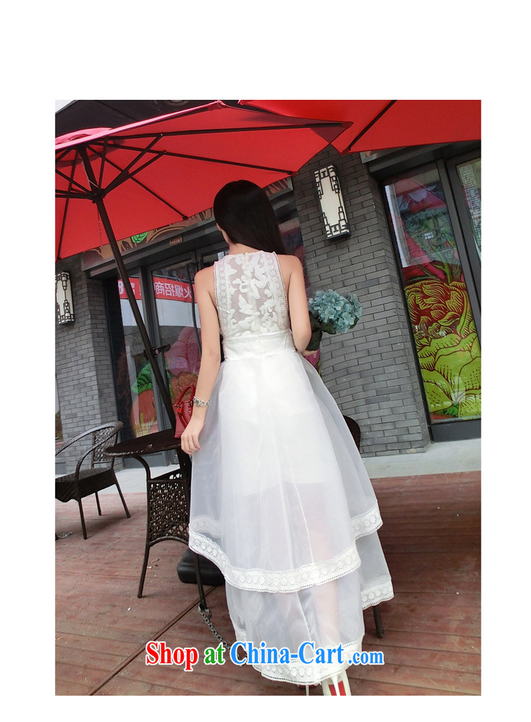 Led by 2015 summer New Custom Korean fashion style dress dresses three-dimensional grid embroidered shaggy dress white L pictures, price, brand platters! Elections are good character, the national distribution, so why buy now enjoy more preferential! Health