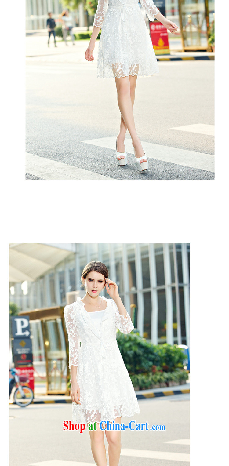 Korean Princess Anne shaggy skirts European root dress summer European site high waist Lace Embroidery skirt generation 263650185 white S pictures, price, brand platters! Elections are good character, the national distribution, so why buy now enjoy more preferential! Health